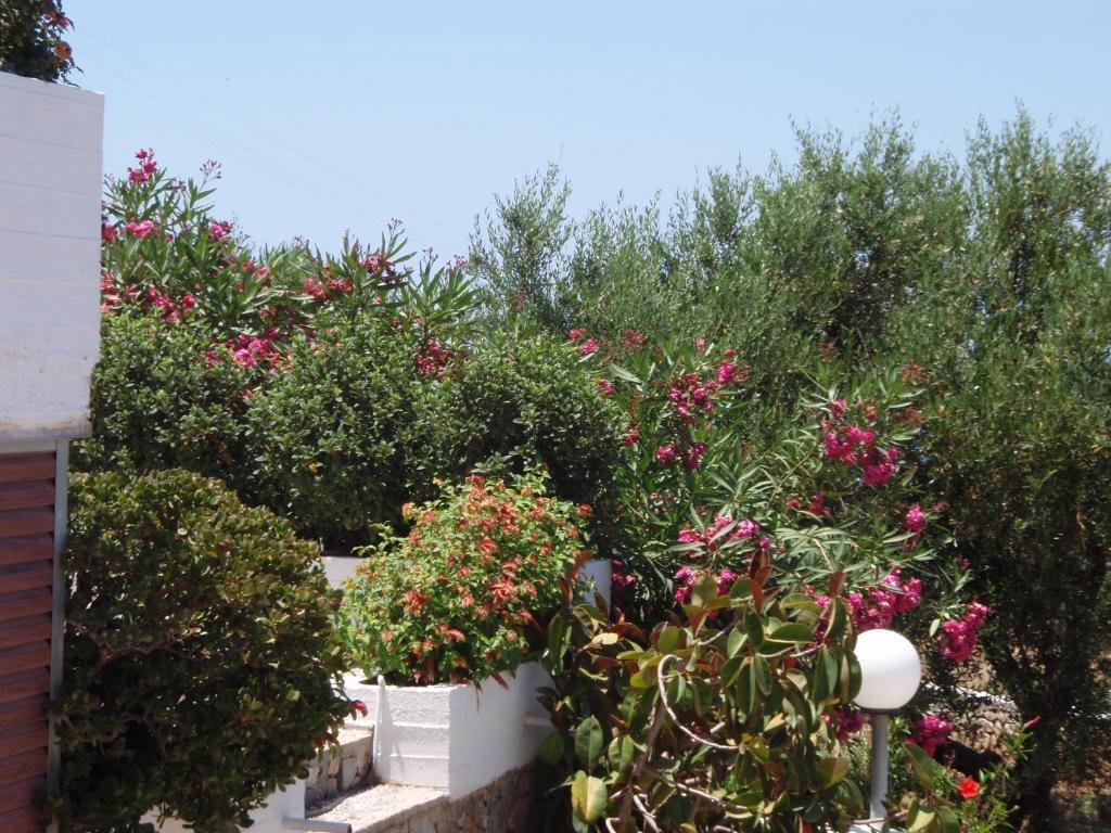 Villas Michalis Chorafakia Exterior photo